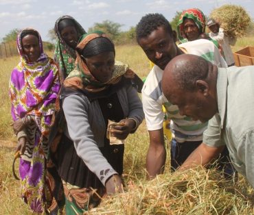 Giving Livestock a Lifeline During Drought