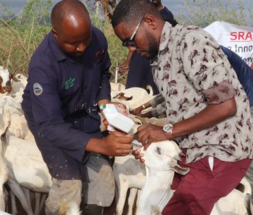 Families Rebuilding Lives Through Restocking
